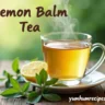 A cup of lemon balm tea with fresh lemon balm leaves and a lemon slice on a wooden table.